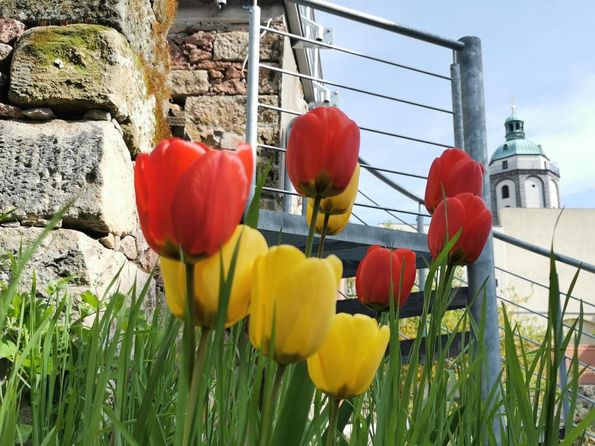 Fynbos Studio Dg In Der Altstadt, Frauenkirchenblick, Parkplatz Meissen Ngoại thất bức ảnh
