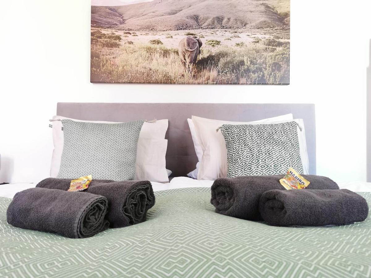 Fynbos Studio Dg In Der Altstadt, Frauenkirchenblick, Parkplatz Meissen Ngoại thất bức ảnh