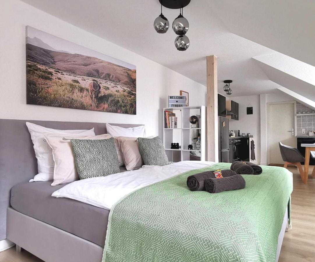 Fynbos Studio Dg In Der Altstadt, Frauenkirchenblick, Parkplatz Meissen Ngoại thất bức ảnh
